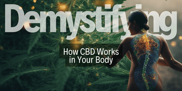 Demystifying How CBD Works in the Body