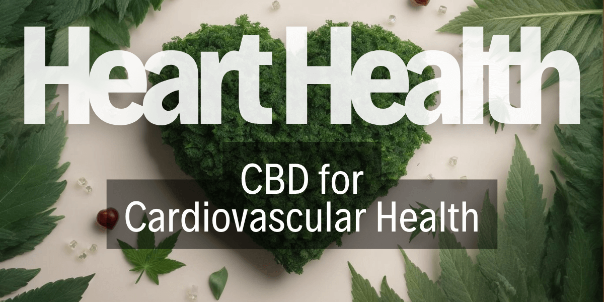 CBD for Heart Health: Exploring Cardiovascular Benefits | Cannooba