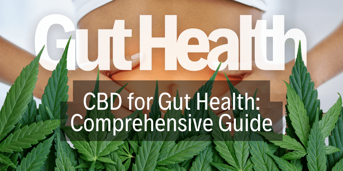 Enhancing Gut Health with CBD: A Comprehensive Guide