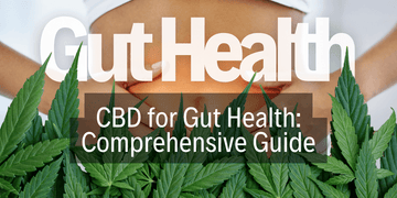 Enhancing Gut Health with CBD: A Comprehensive Guide